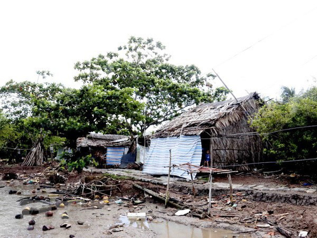 sạt lở đất ở tỉnh Cà Mau 