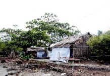 sạt lở đất ở tỉnh Cà Mau