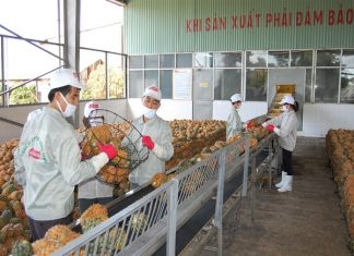 ngành nông sản Việt Nam