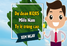 du-doan-xo-so-mien-nam-min