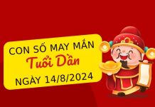 Phân tích con số may mắn tuổi Dần hôm nay ngày 14/8/2024