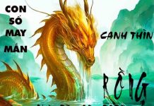 Phân tích con số may mắn tuổi Canh Thìn ngày 23/10/2024 thứ 4 hôm nay