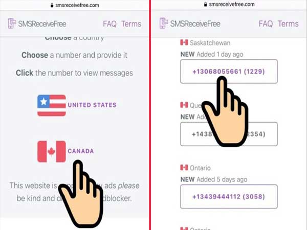 chọn United States hoặc Canada