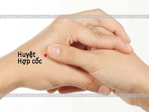 Bấm huyệt hợp cốc trị táo báo