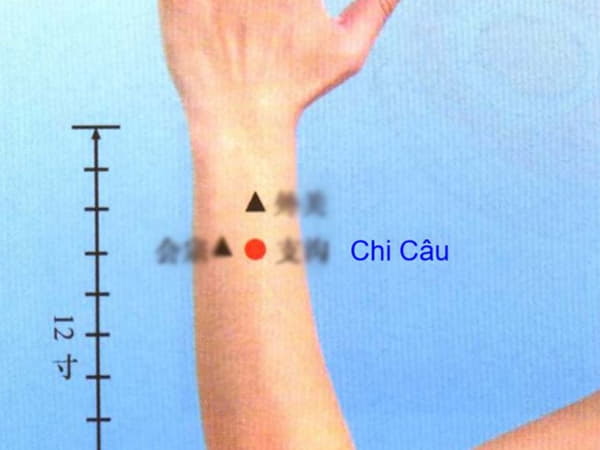 Huyệt chi câu