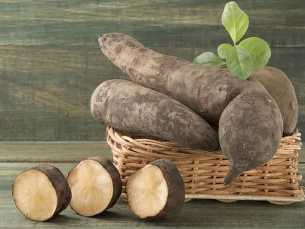 Những lưu ý khi cho trẻ em ăn củ sâm đất