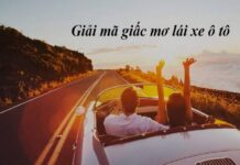 Điềm báo khi nằm mơ thấy mình lái xe ô tô