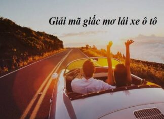 Điềm báo khi nằm mơ thấy mình lái xe ô tô