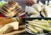 Mơ thấy cây măng điềm báo gì đánh số nào?