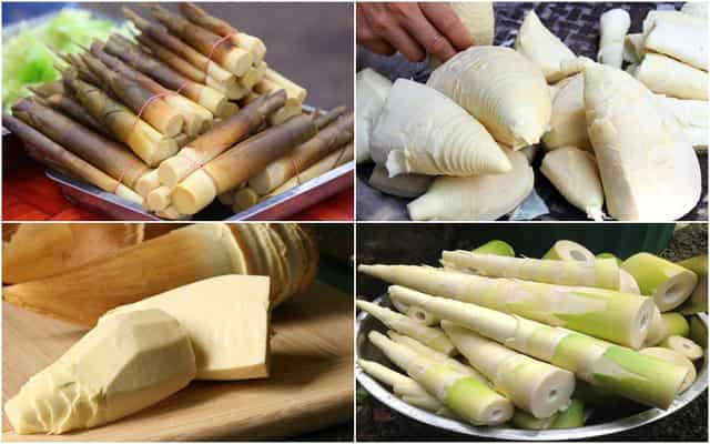 Mơ thấy cây măng điềm báo gì đánh số nào?