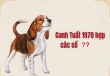 Số phát lộc tuổi Canh Tuất ngày 4/12 giúp phát tài hôm nay