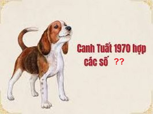 Ngày 4/12 số phát lộc tuổi Canh Tuất là gì?