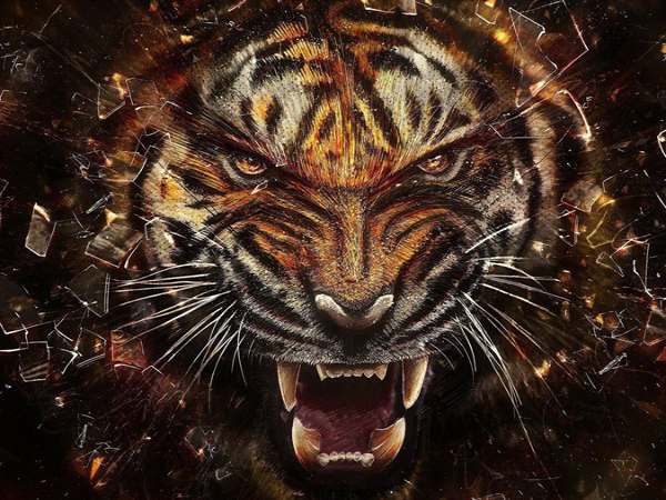 Tổng quan vận trình tuổi Nhâm Dần ngày 15/1/2026